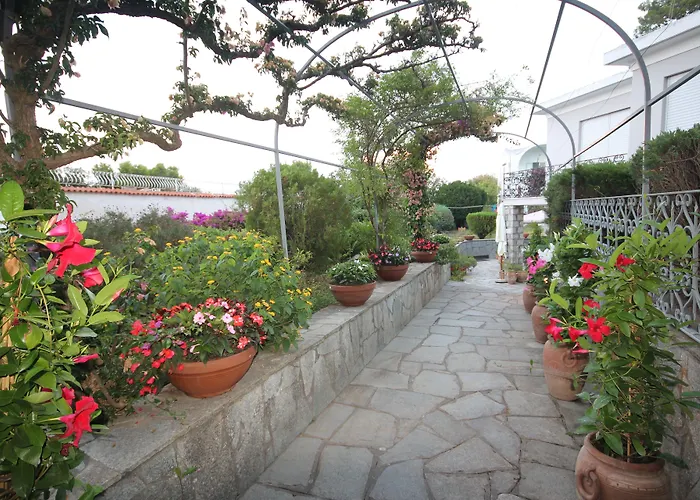 Cavalluccio Marino Anacapri 